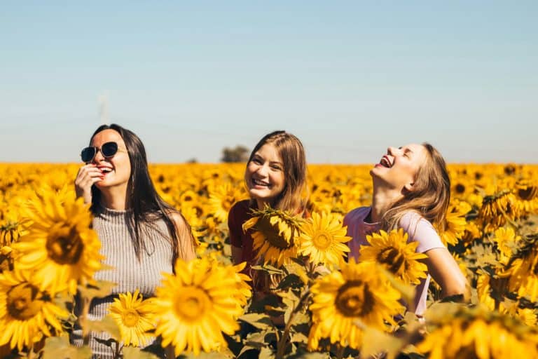 3 femmes souriantes dans un champ de tournesol