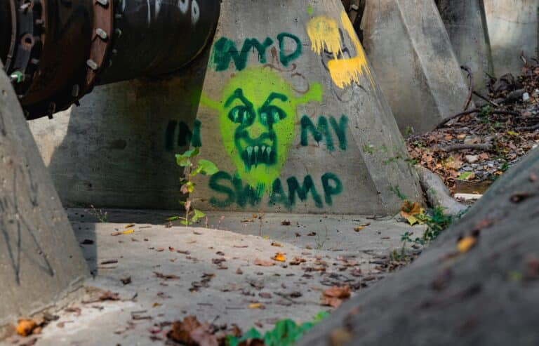 Un tag à l'effigie de Shrek et de son marais