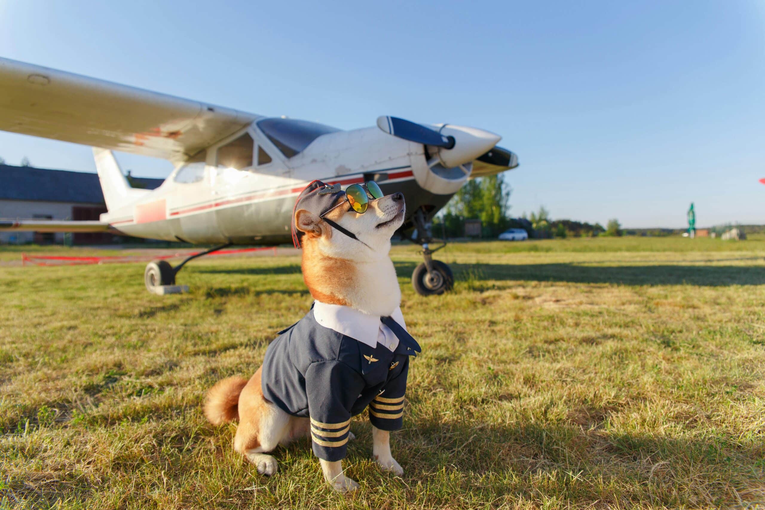 Chien aviateur en costume de pilote posant devant un avion