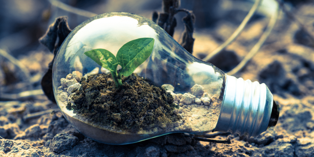 Une plante dans une ampoule sur une terre sale