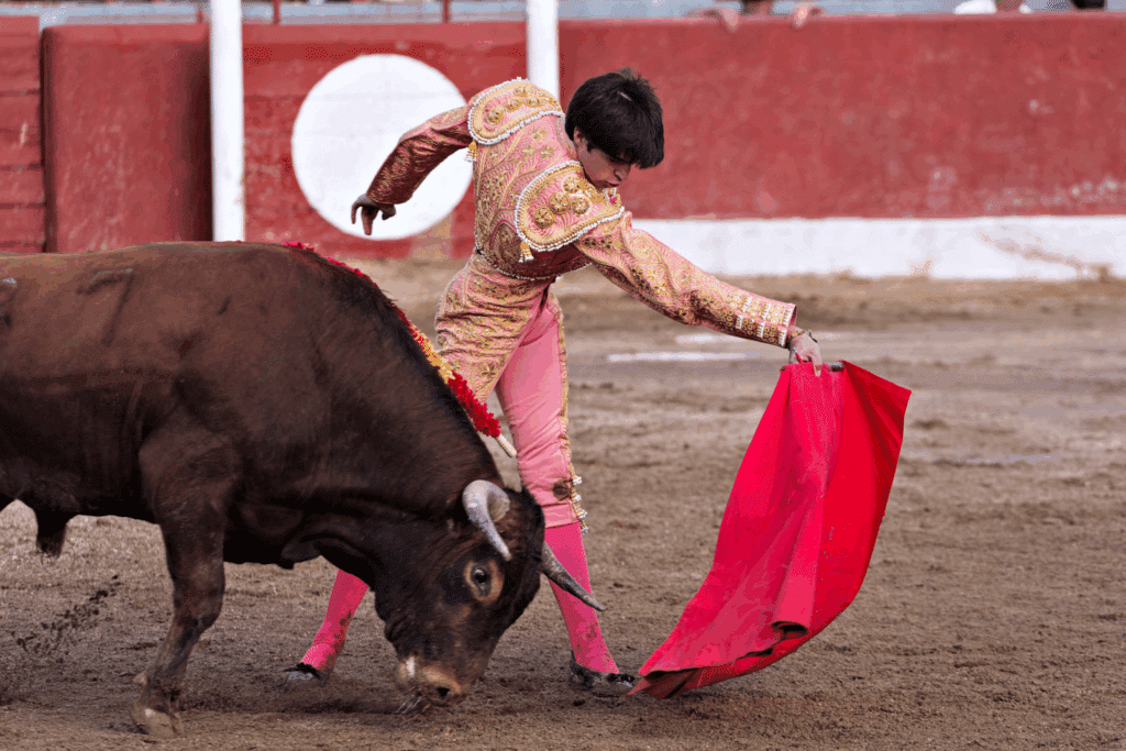 Un torero et un taureau