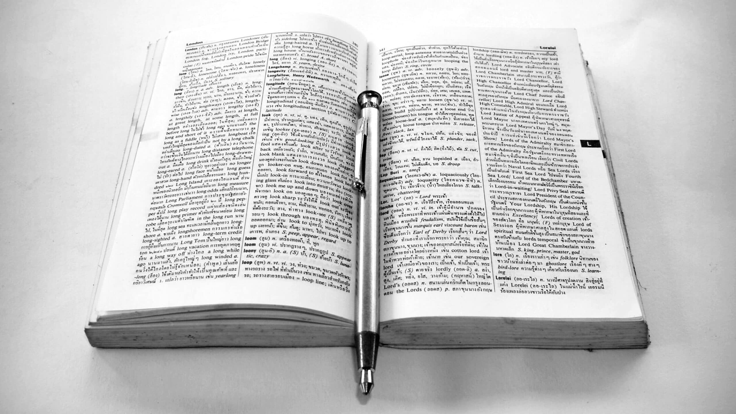 Un livre en noir et blanc avec un stylo dessus