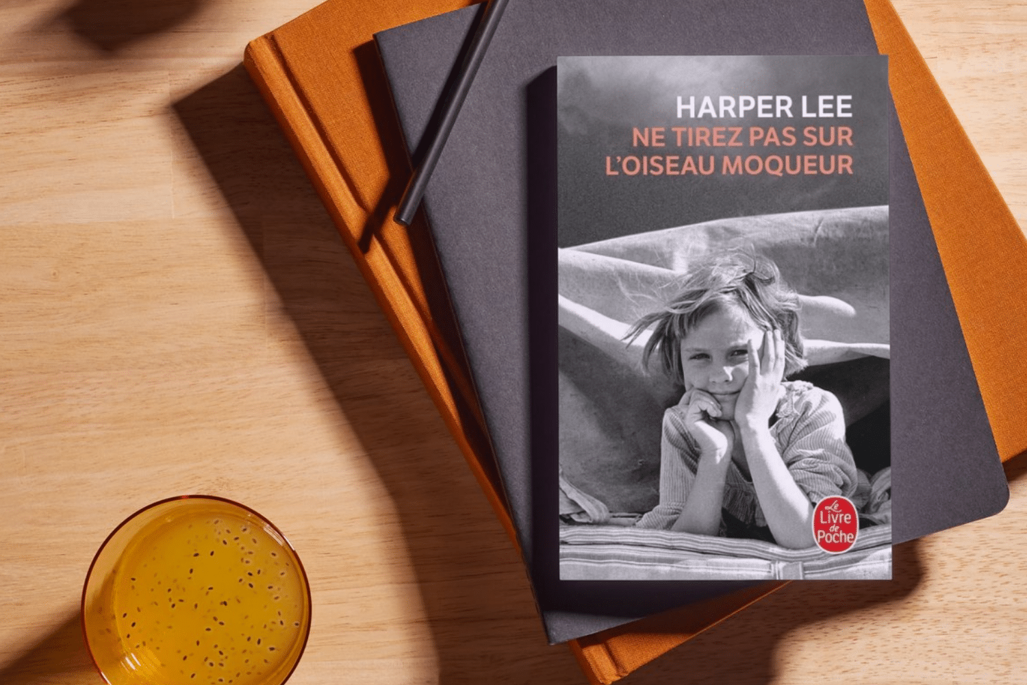Le livre Ne Tirez Pas Sur L'Oiseau Moqueur de Harper Lee