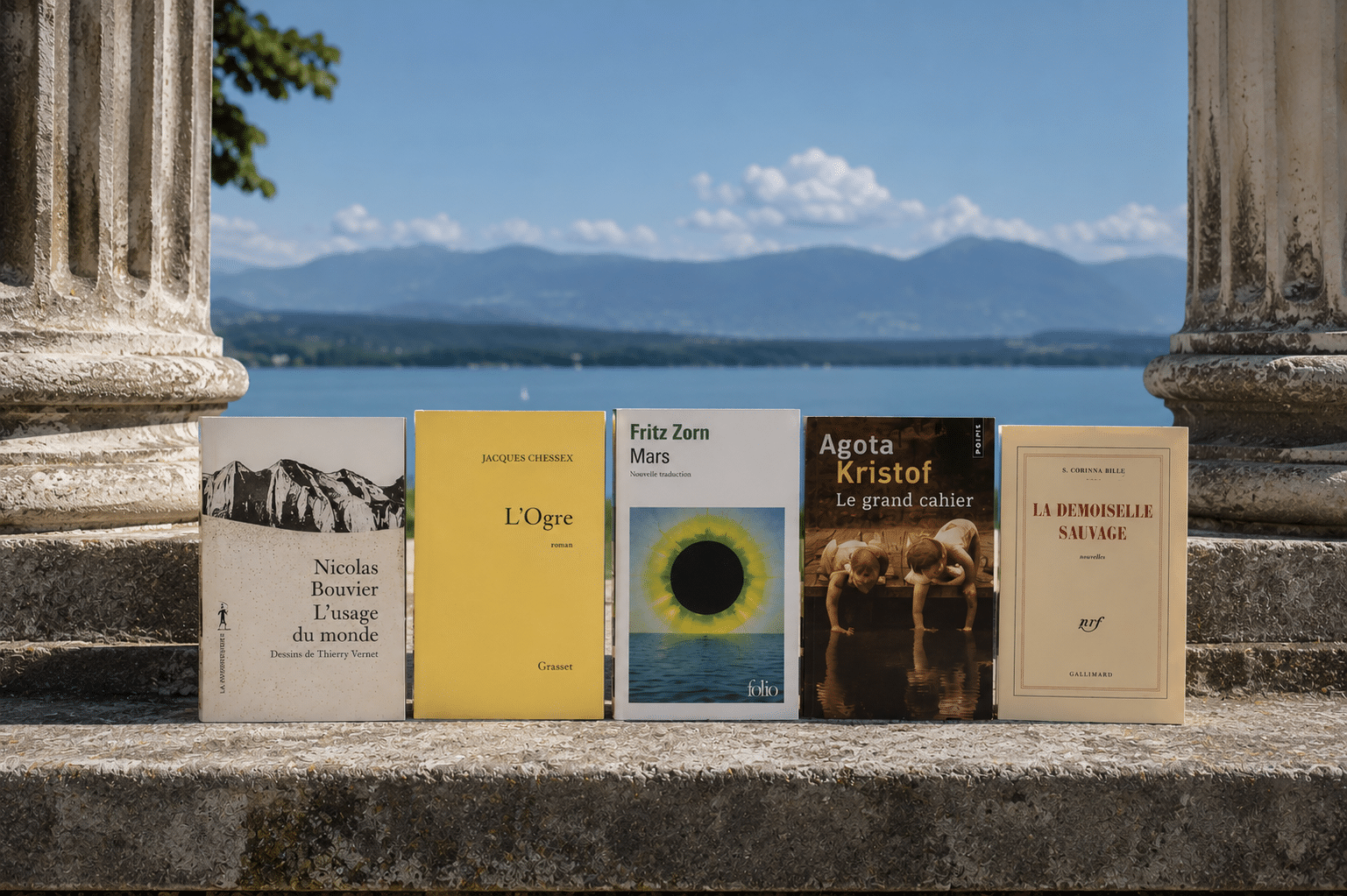 5 livres Suisse en perdition