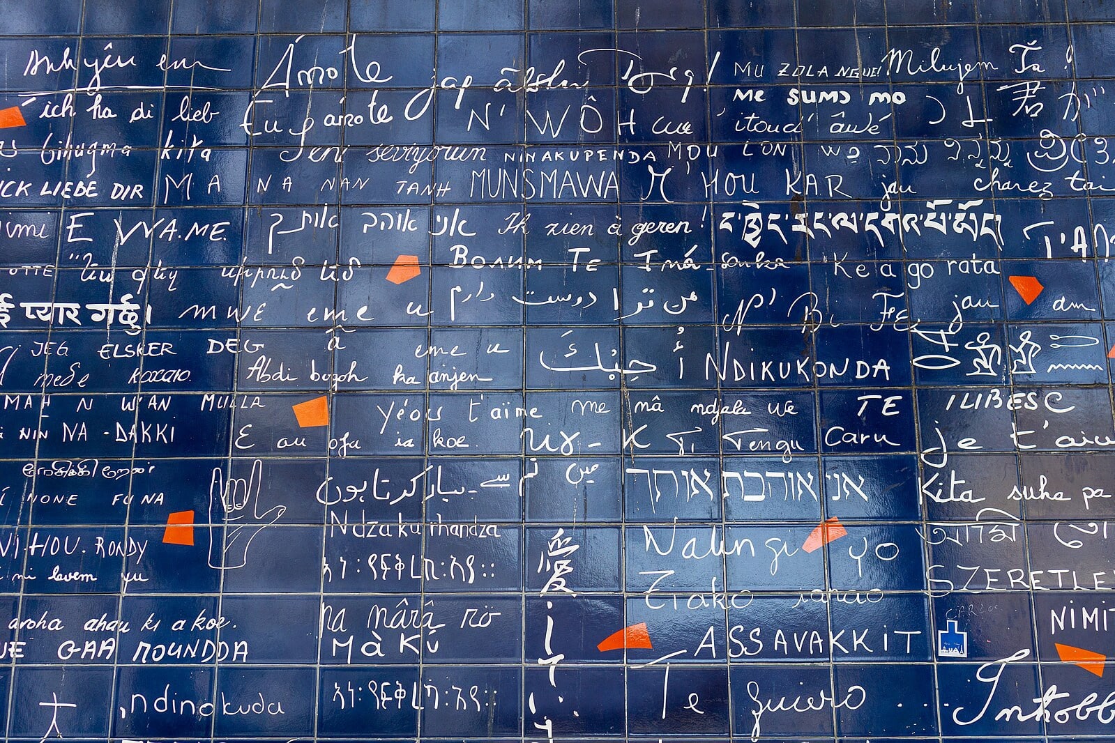 Un mur de mots dans pleins de langues.